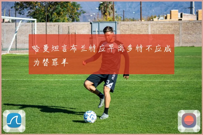 哈曼坦言布兰特应早离多特不应成为替罪羊